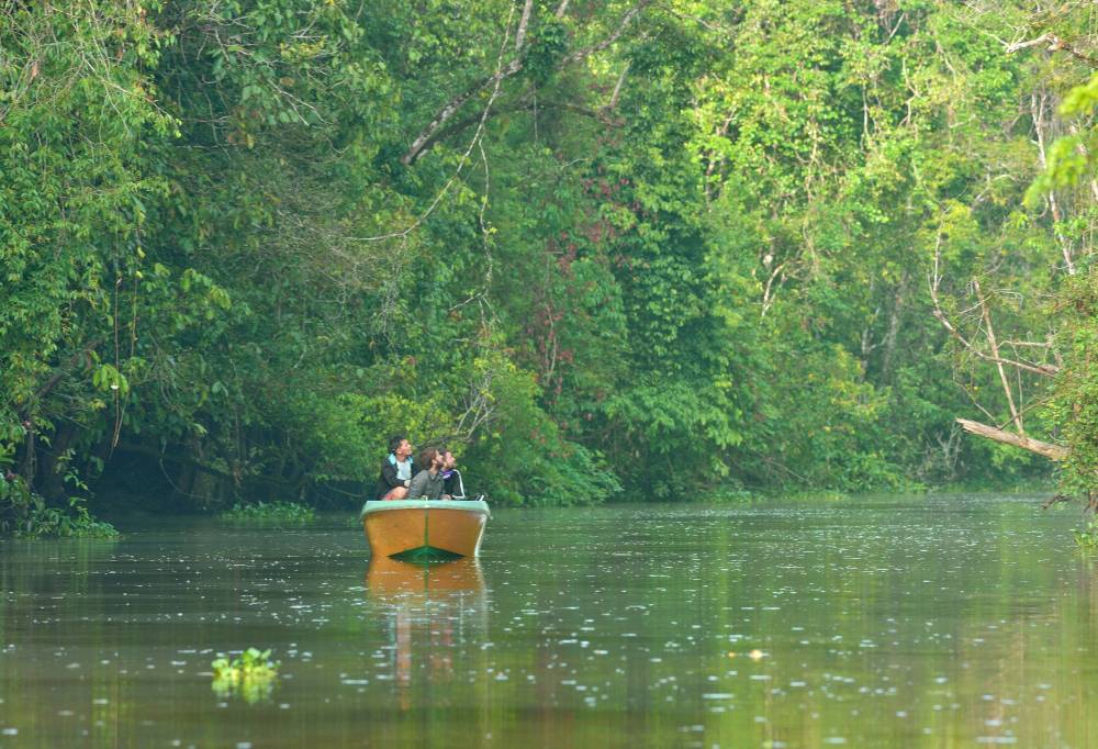 Discover Sabah's jungle en West-Maleisië-333Travel