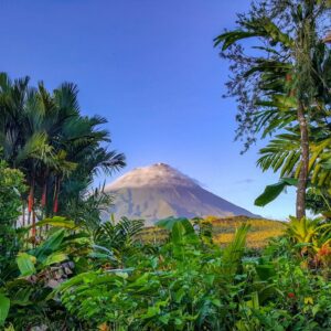 Best Deal Costa Rica Nevelwouden en Vulkanen-333Travel