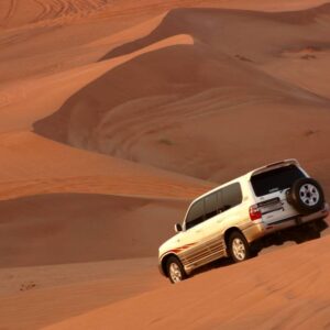 Desert jeep safari-333Travel
