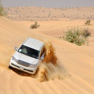 Jeepsafari met overnachting in de woestijn-333Travel