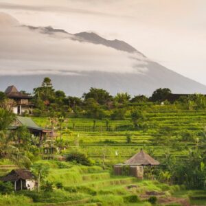 De schoonheid van Bali-333Travel