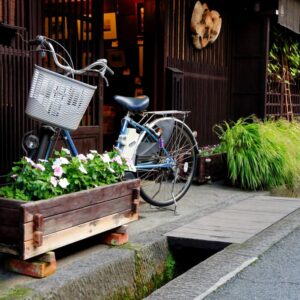Excursie: Kyoto per fiets-333Travel