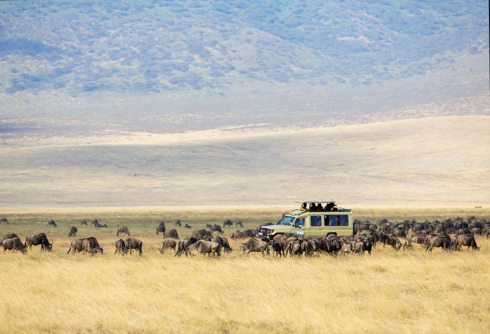 Wildlife Experience Kenia & Tanzania-333Travel